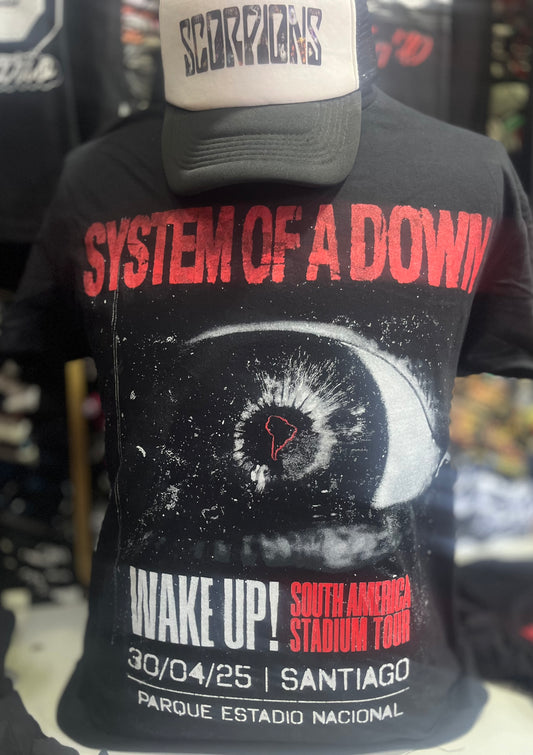 2…System of a down concierto